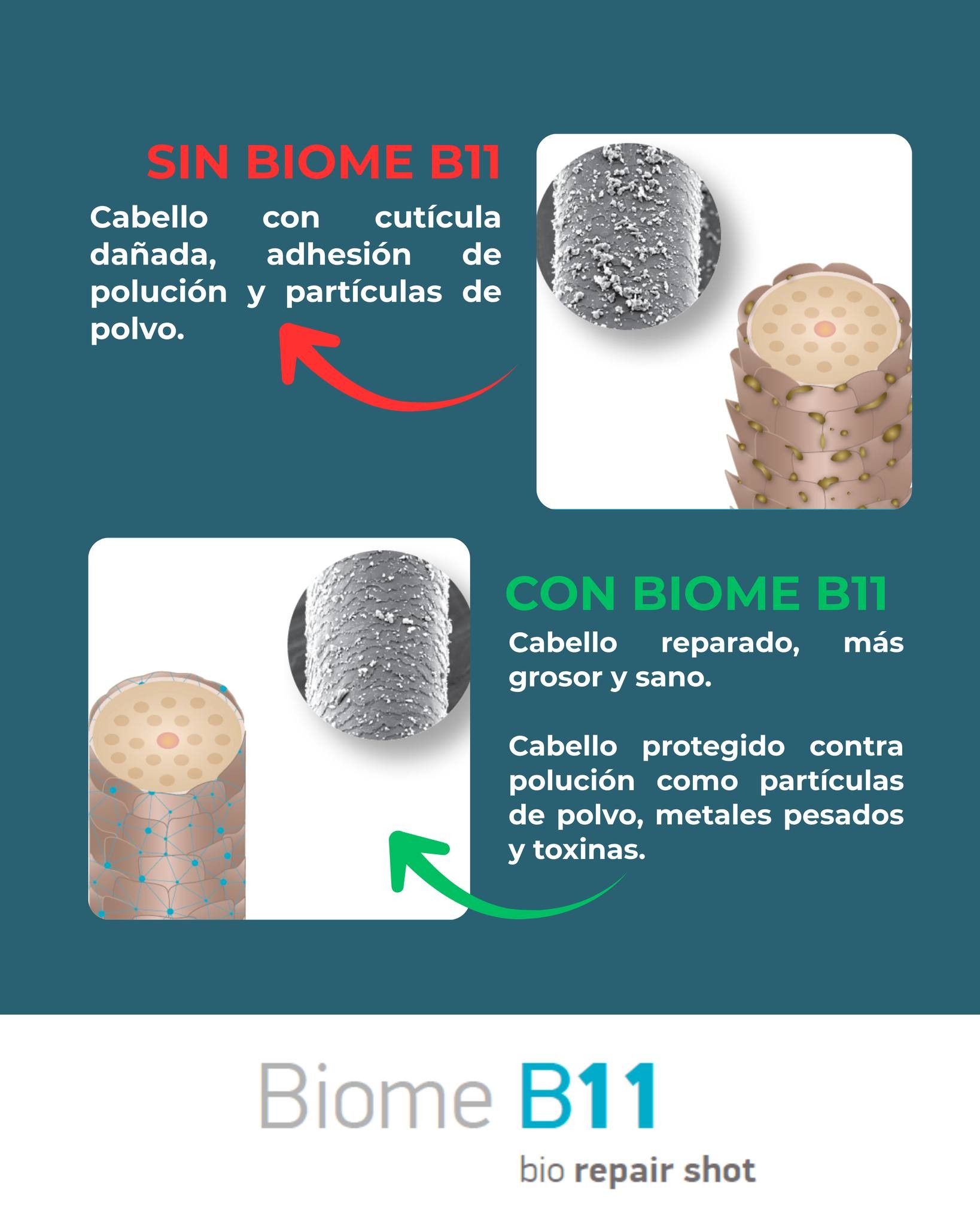 Tratamiento reparador y densificador, con ingredientes activos naturales B11 Biome Reapair Shot 100 ml. Erayba
