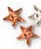 GEMAS D'ORLEAC ESTRELLA AMBAR - B/60 u